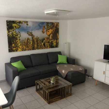 Gemuetliche, Ruhig Gelegene Wohnung In Cochem Luaran gambar