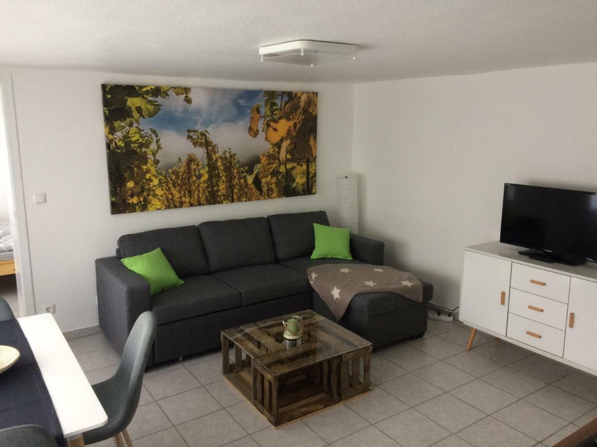 Gemuetliche, Ruhig Gelegene Wohnung In Cochem Luaran gambar
