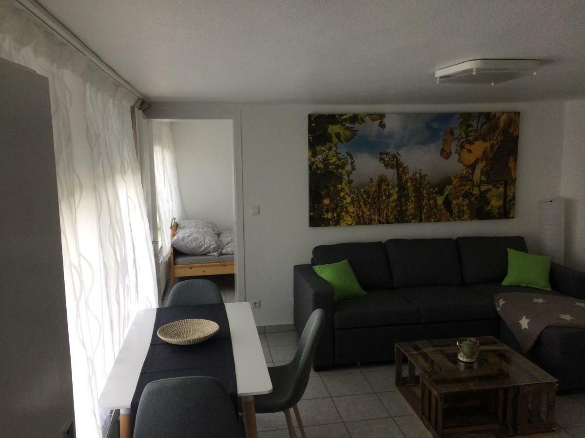 Gemuetliche, Ruhig Gelegene Wohnung In Cochem Luaran gambar